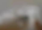 teaserbild