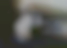 teaserbild